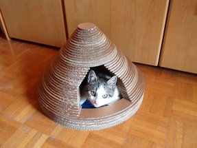 Tuto : une maison en carton pour votre chat